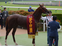デイリー杯2歳ステークス（ＧII）　口取り