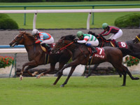 デイリー杯2歳ステークス（ＧII）　ゴール前（2着）