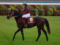デイリー杯2歳ステークス（ＧII）　本馬場入場