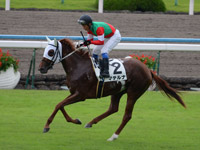 新馬戦　キャンター