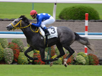 未勝利戦　ゴール前