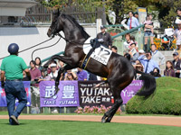 新馬戦　超入れ込み
