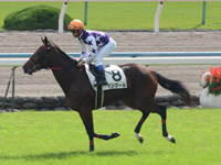 新馬戦　キャンター