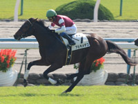 新馬戦　ゴール前