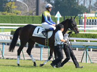 新馬戦　本馬場入場