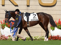 未勝利戦　パドック