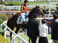 未勝利戦　口取り