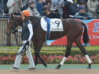 新馬戦　パドック