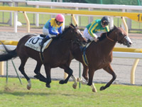 新馬戦　直線（外・2着）