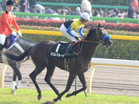 ベゴニア賞（500万）　本馬場入場