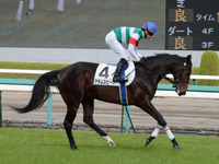 新馬戦　本馬場入場