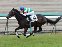 新馬戦　ゴール前
