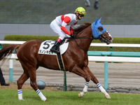 新馬戦　本馬場入場