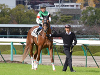 新馬戦　本馬場入場
