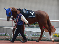 千両賞（500万）　パドック