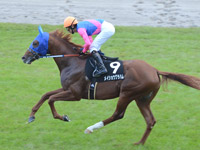 千両賞（500万）　キャンター