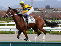 未勝利戦　キャンター