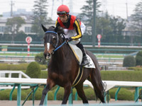 未勝利　キャンター