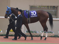阪神ジュベナイルフィリーズ（ＧＩ）　パドック