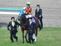 阪神ジュベナイルフィリーズ（ＧＩ）　本馬場入場