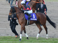 阪神ジュベナイルフィリーズ（ＧＩ）　本馬場入場