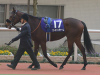 阪神ジュベナイルフィリーズ（ＧＩ）　パドック