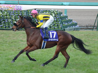 阪神ジュベナイルフィリーズ（ＧＩ）　キャンター