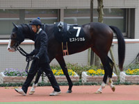 エリカ賞（500万）　パドック