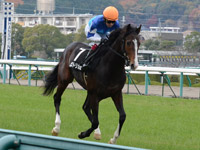 エリカ賞（500万）　キャンター