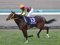 阪神ジュベナイルフィリーズ（ＧＩ）　ゴール前