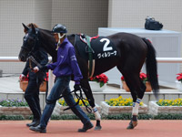 エリカ賞（500万）　パドック