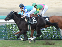 エリカ賞（500万）　ゴール前