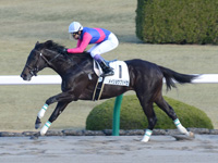 未勝利戦　ゴール前