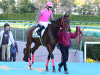 未勝利戦（牝）　本馬場入場