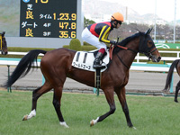 新馬戦　本馬場入場