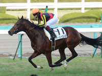 新馬戦　ゴール前