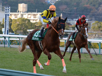 ラジオNIKKEI杯2歳Ｓ（ＧIII）　キャンター
