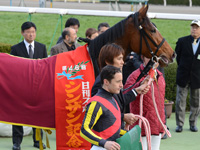 シンザン記念（ＧIII）　口取り