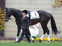 500万平場戦　パドック