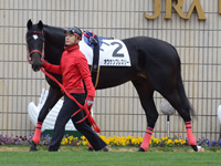 新馬戦　パドック