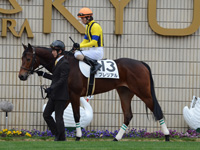 未勝利戦（牝）　パドック