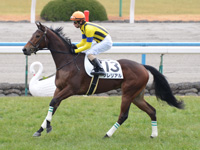 未勝利戦（牝）　キャンター