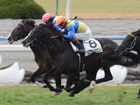新馬戦　ゴール前（外・2着）
