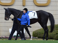 新馬戦　パドック