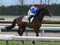 新馬戦　本馬場入場