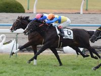 新馬戦　ゴール前（内・1着）