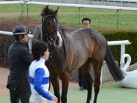 新馬戦　口取り