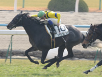 未勝利戦　ゴール前