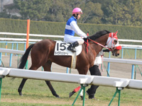 新馬戦　本馬場入場