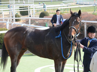 未勝利戦　口取り